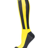 Yellow Double Black Bars
